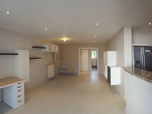 RÉNOVATION D’UN REZ DE JARDIN / LONS