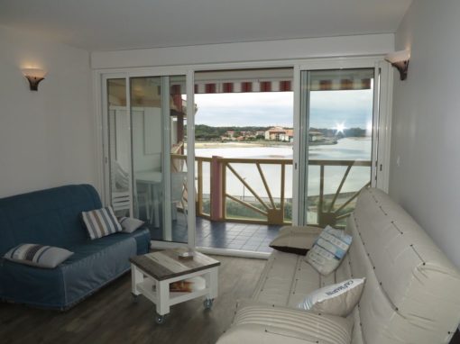 RESTRUCTURATION D’UN T3 EN BORD DE MER / VIEUX BOUCAU